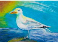 Sunny Seagull